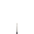 Winsor & Newton Artists' Watercolor Sable Brush, Round, 0